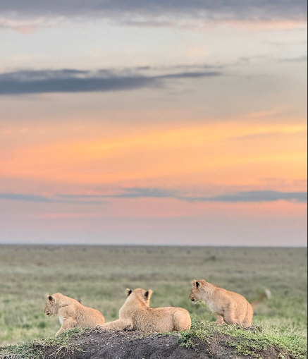 10 Days Escape City Life Safari – Tanzania Beyond The Ordinary